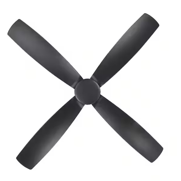Shop Single Image 3