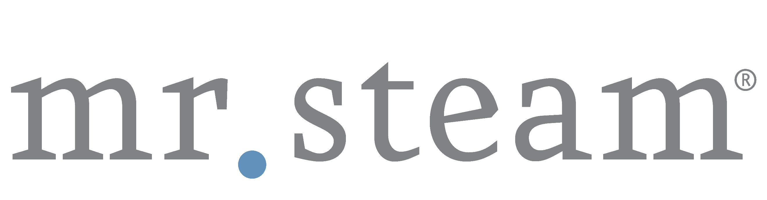 MR. STEAM