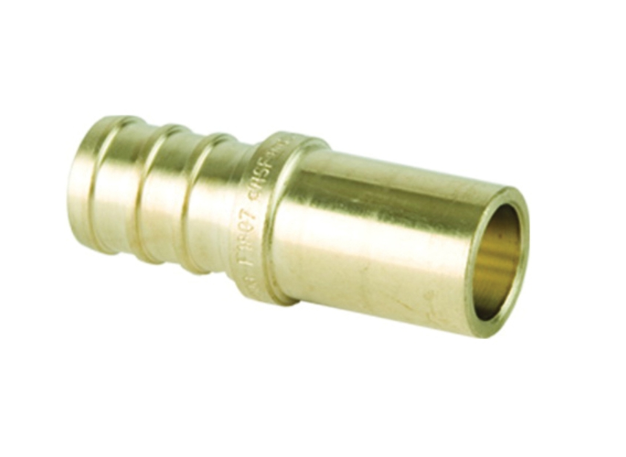 Shop Single Image 1