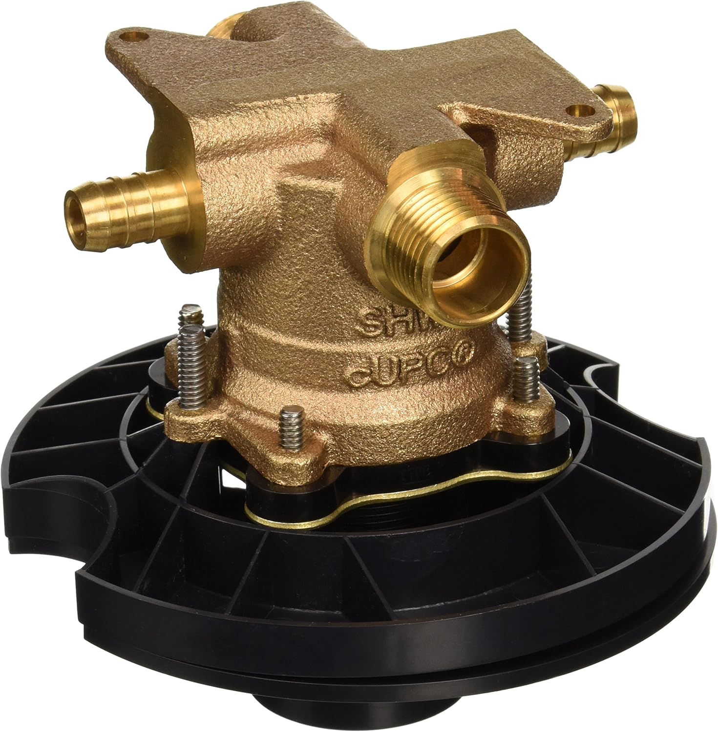 Shop Single Image 1