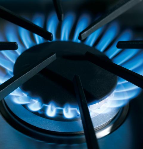 Dual-flame stacked burners
