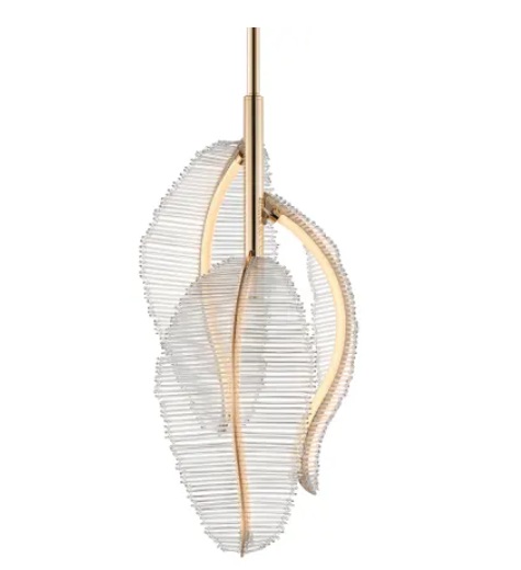 Shop Single Image 1
